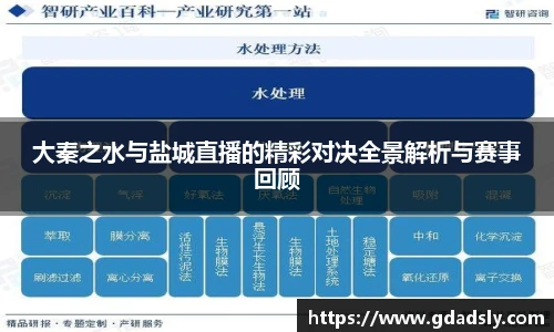 大秦之水与盐城直播的精彩对决全景解析与赛事回顾