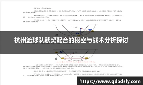 杭州篮球队默契配合的秘密与战术分析探讨