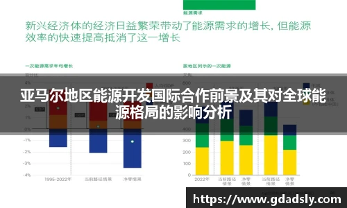 亚马尔地区能源开发国际合作前景及其对全球能源格局的影响分析
