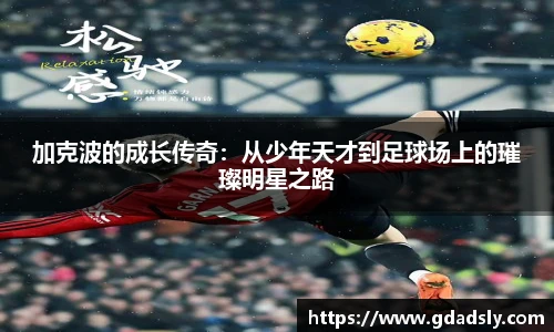 TVT体育平台